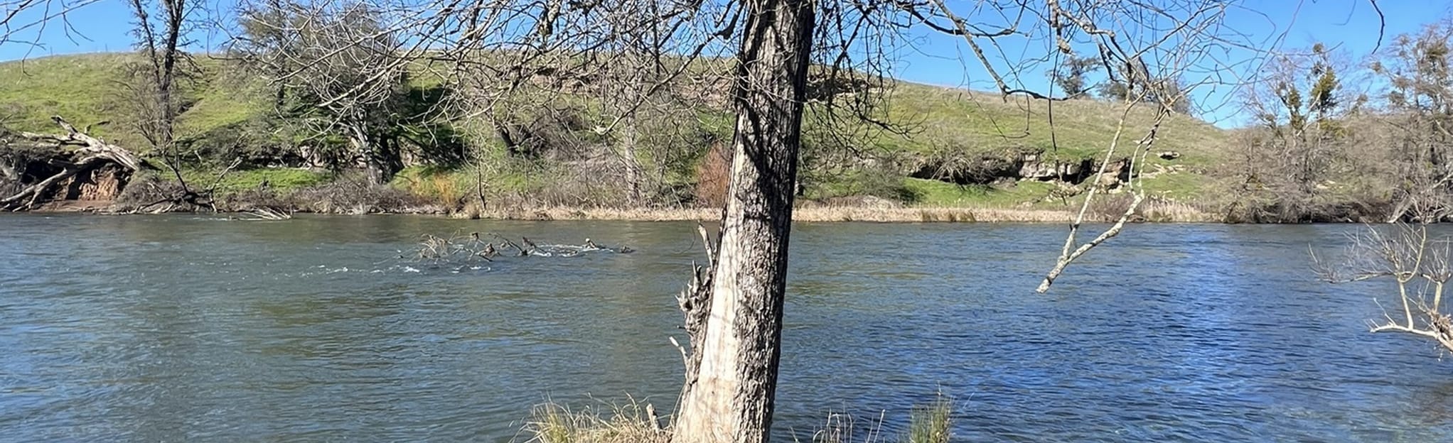 Mokelumne River Trail, California 51 Reviews, Map AllTrails