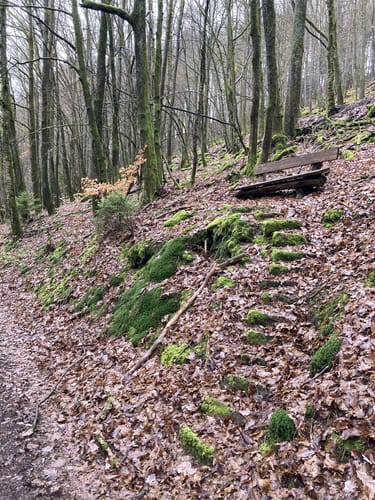 Rundwanderweg Schönmattenwag 7: Adlerstein-Weg