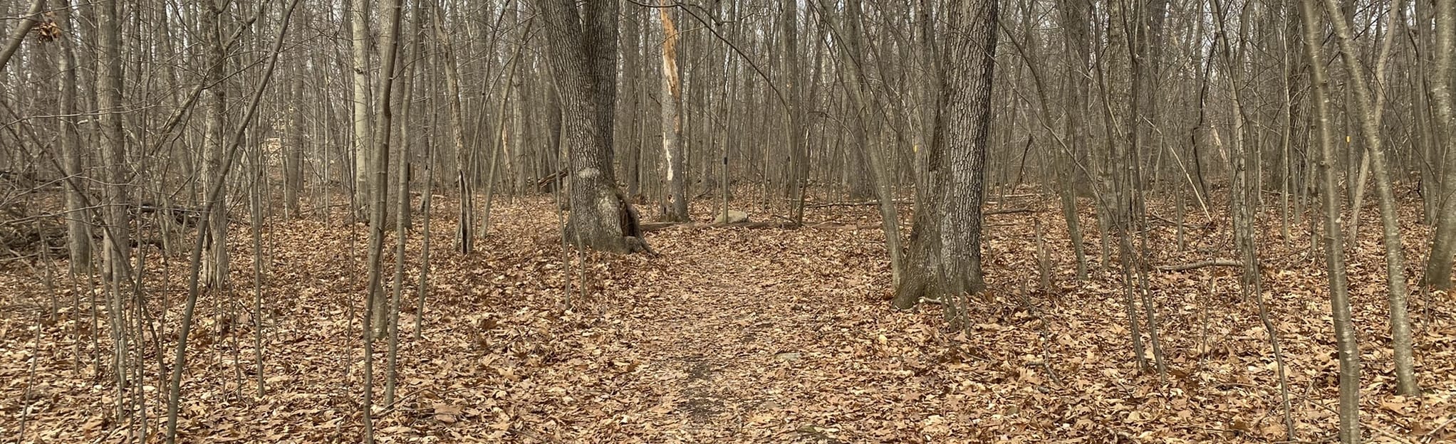 Brooksvale Park Blue Trail, Connecticut 45 Reviews, Map AllTrails