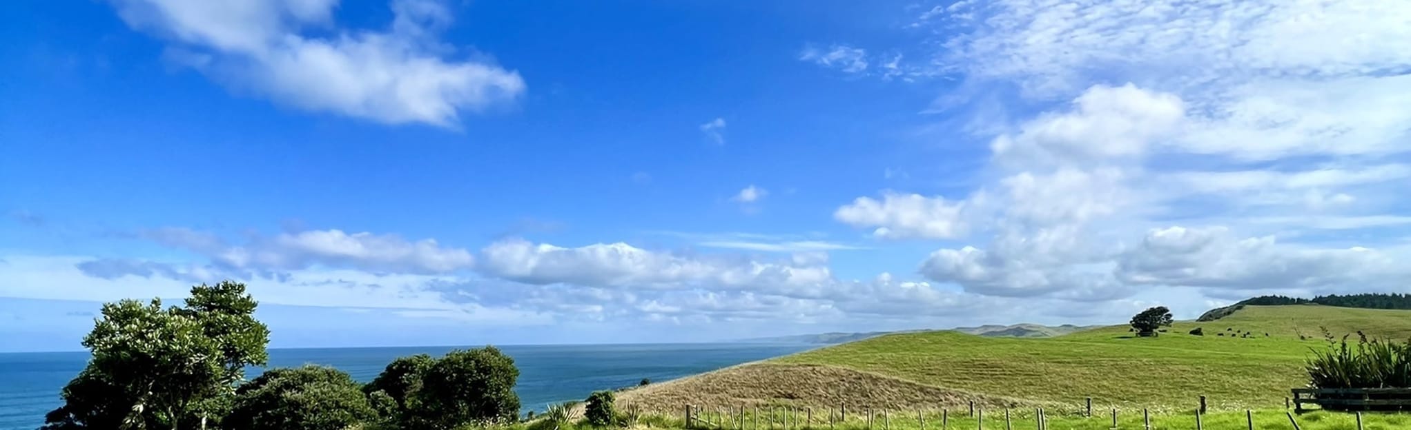 AllTrails Wainui Reserve Bush Park 15 Reviews, Map Waikato, New Zealand