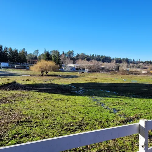 2023 Best Walking Trails in Meadow Vista AllTrails