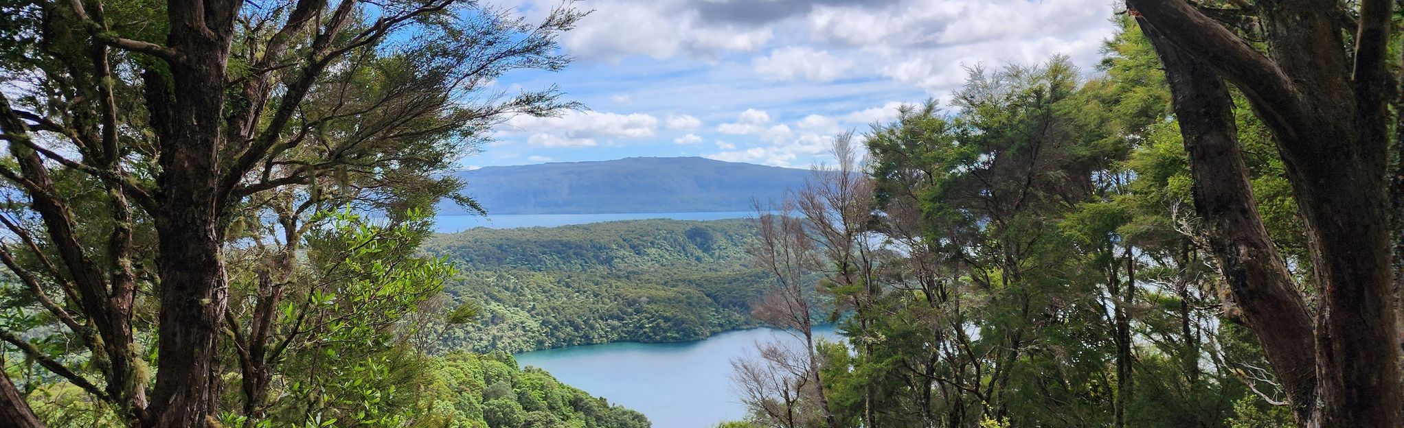 Tarawera Trail To Hot Water Beach Map Guide Bay Of Plenty New Zealand Alltrails 7330