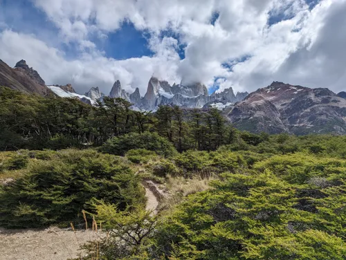 Los 10 mejores senderos por bosque en Santa Cruz Provincia