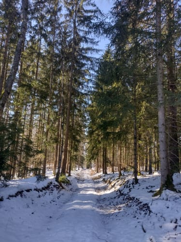 Goldkronach Rundwanderweg Nr. 5