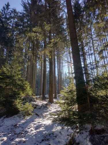 Goldkronach Rundwanderweg Nr. 5
