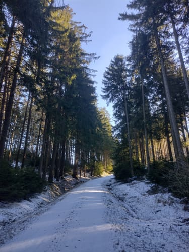 Goldkronach Rundwanderweg Nr. 5