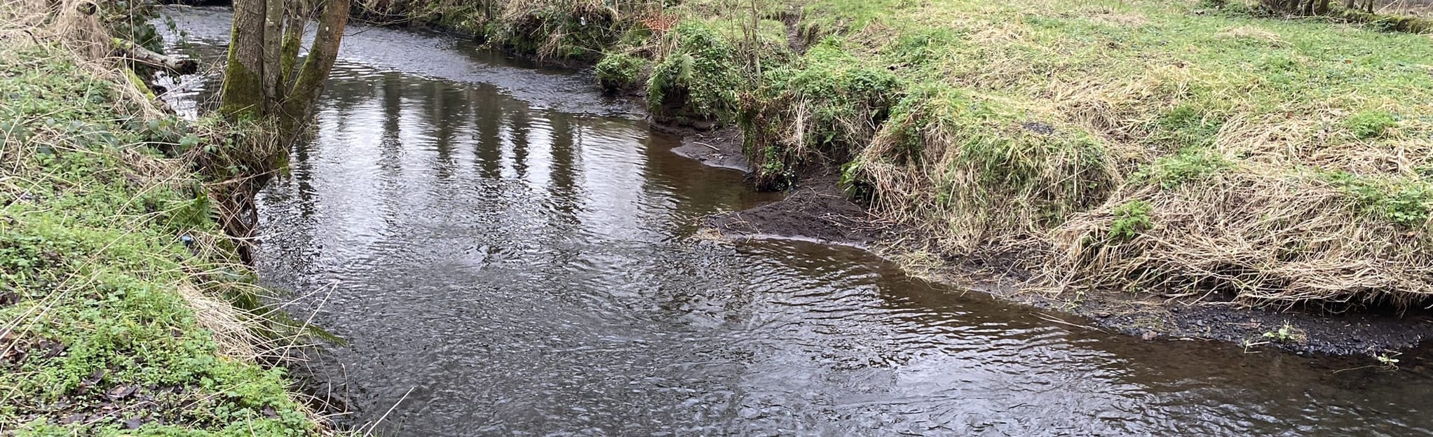 Ballymoney Riverside Park Loop, Causeway Coast and Glens, Northern