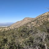 Bog Springs Trail, Arizona - 299 Reviews, Map | AllTrails