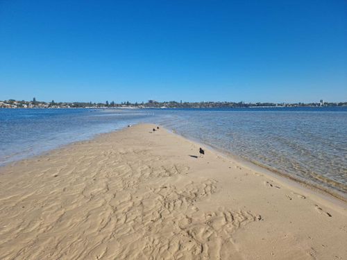 are dogs allowed at bicton baths