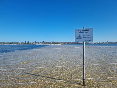 are dogs allowed at bicton baths