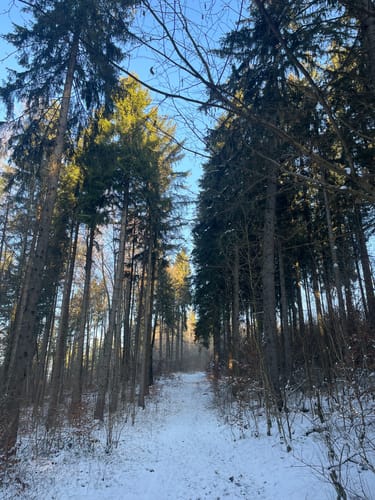Donau-Leutenberg-Runde