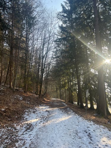 Donau-Leutenberg-Runde
