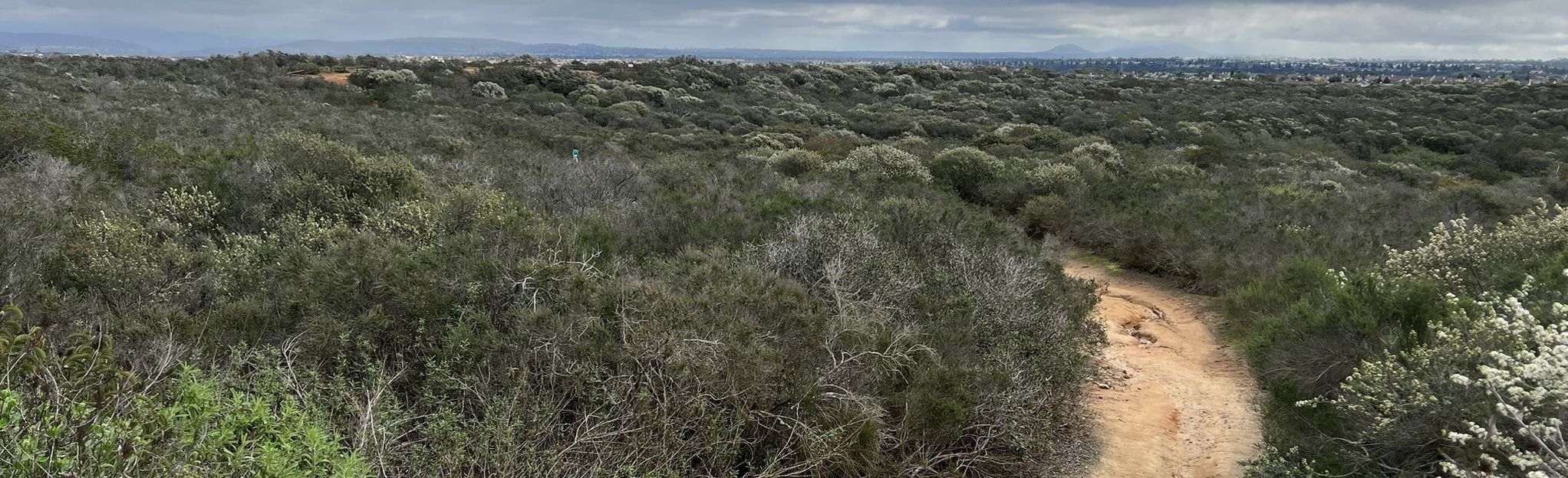 Carmel Mountain Preserve Big Loop 483 Reviews, Map California