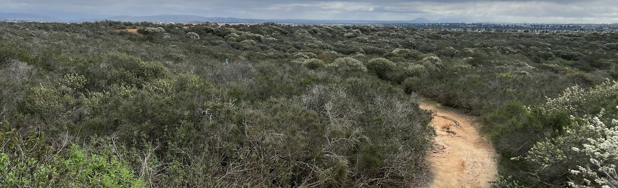 Carmel Mountain Preserve Big Loop 483 Reviews, Map California