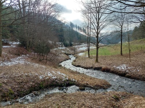 Neuastenberg Rundweg N4 Bärenbergweg