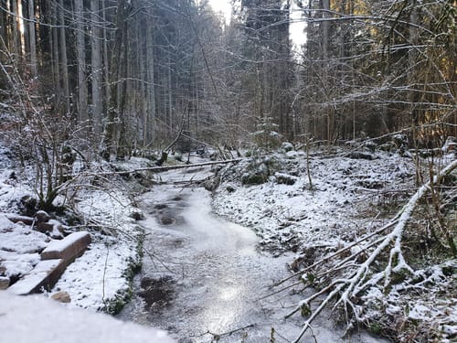 Jubiläumspfad Hagenbachidylle Trossingen/Aixheim