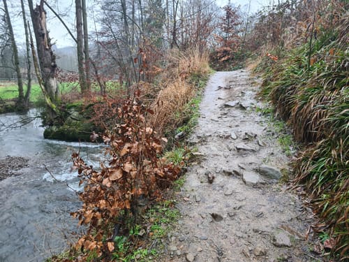 Wasserroute Große Dhünntalsperre