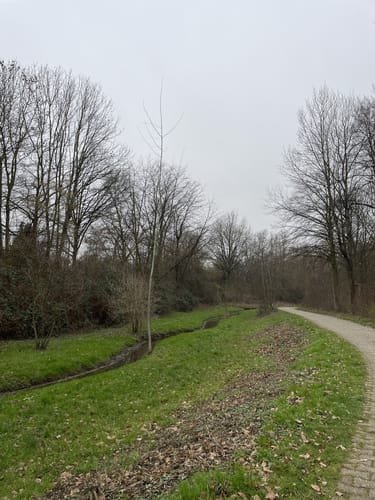 Hundefreilauf Hennef am Wolfsbach