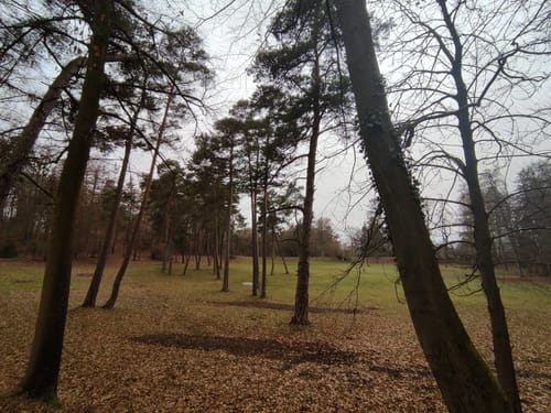 Schlosspark Wilhelmsthal