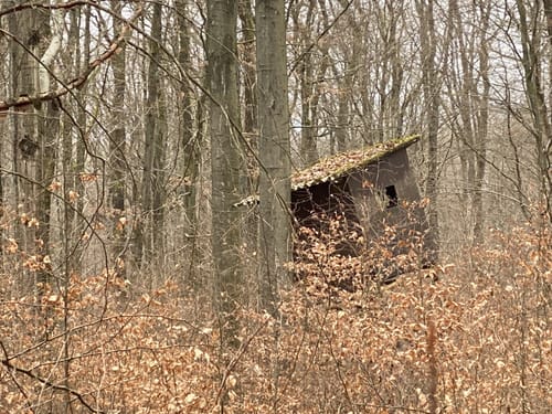Frohn-Wald-Weg (Premiumwanderweg)