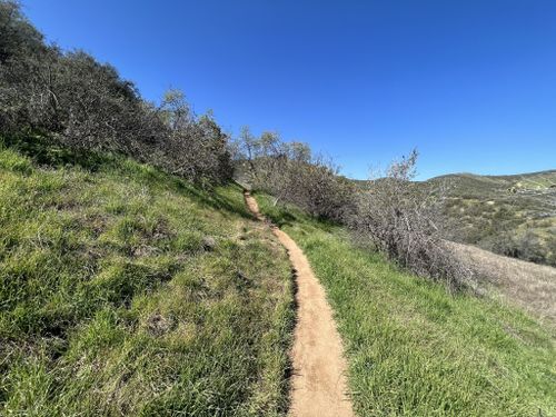 2023 Best trails in Yucaipa Regional Park | AllTrails