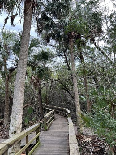 Best Hikes and Trails in Betty Steflik Preserve | AllTrails