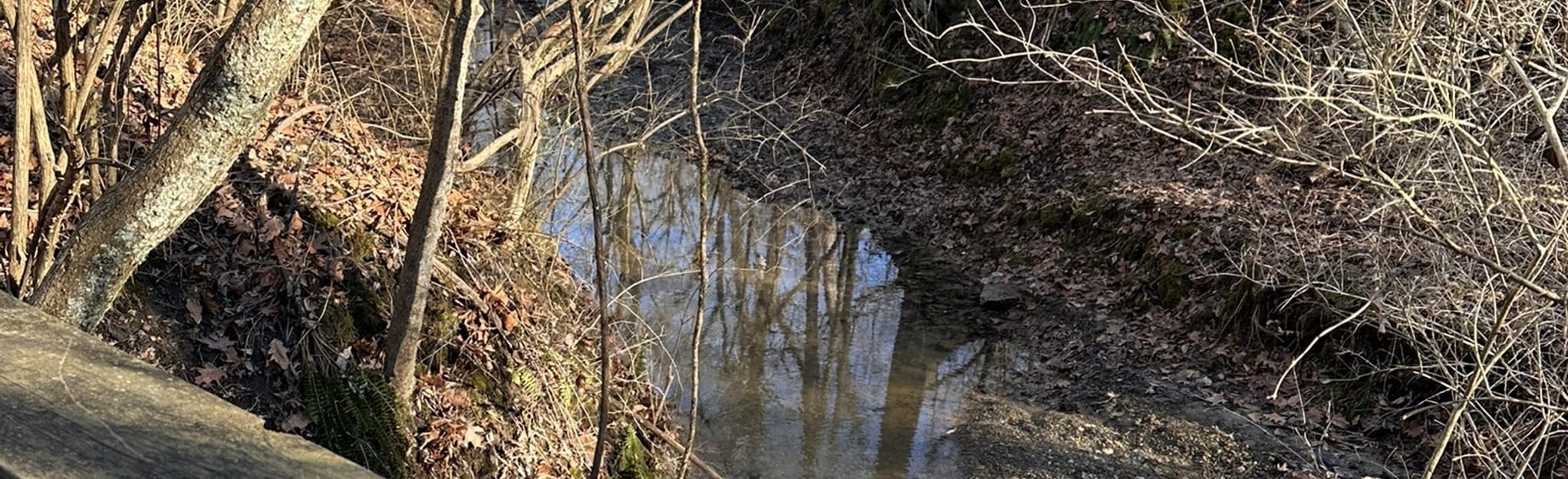 Pleasant Ridge Creek, Illinois 353 Reviews, Map AllTrails