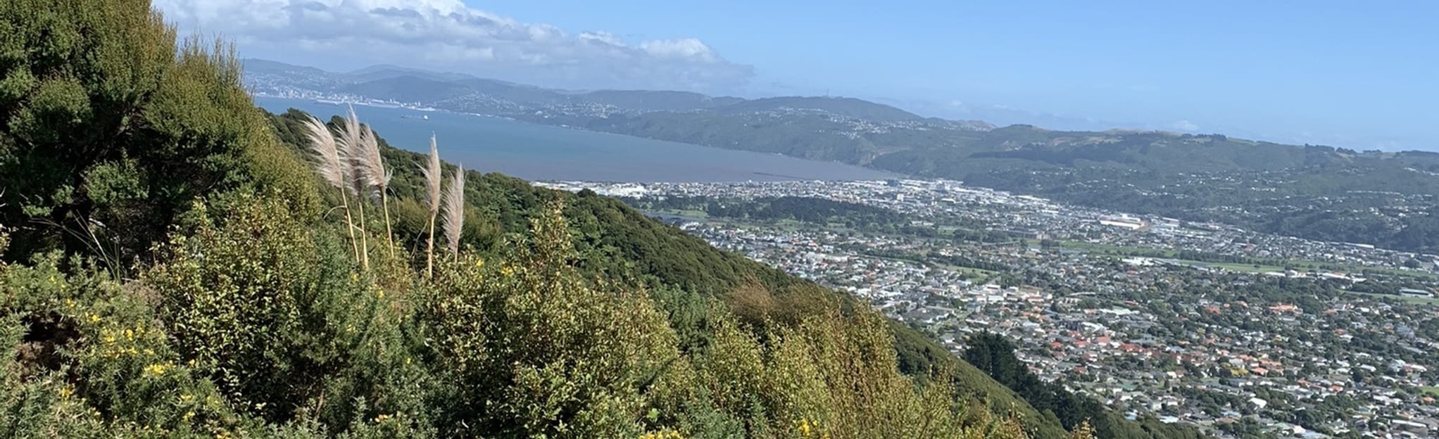 Te Whiti Park to Wainuiomata 3 Reviews, Map Wellington, New Zealand