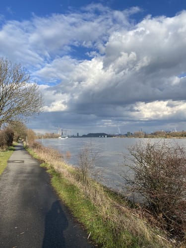Baerler Busch ab Uettelsheimer See