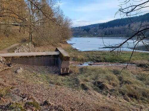 EifelSchleife Kronenburger See (Gemeinde Dahlem)
