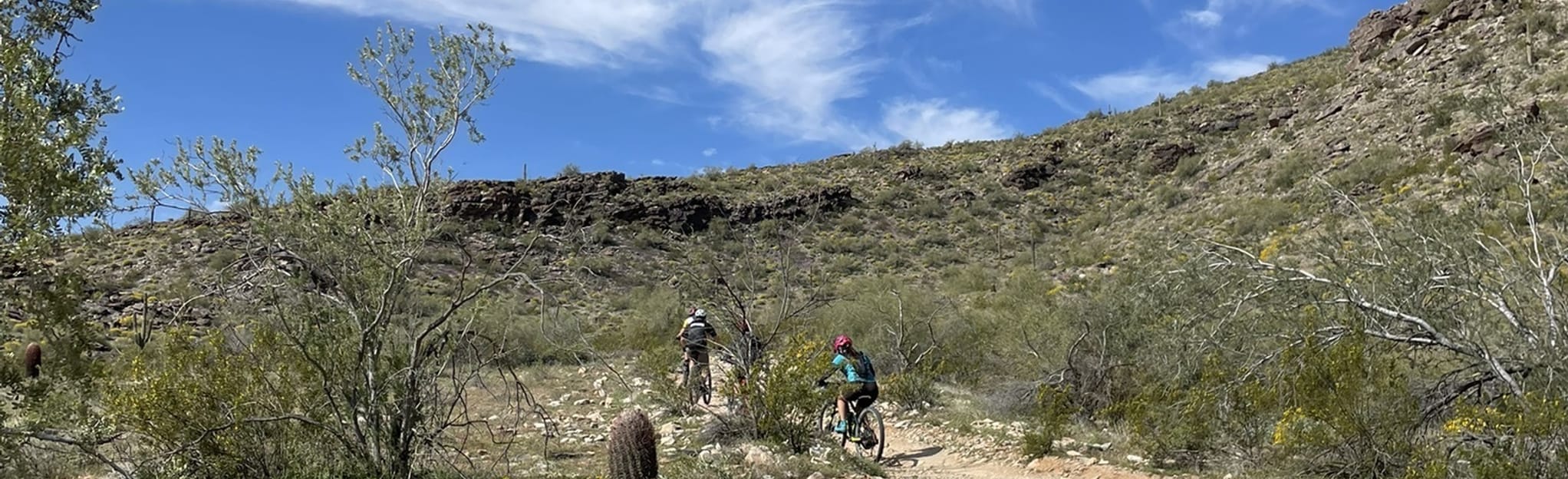 Warpaint North and Lower Corona Trail, Arizona 499 Reviews, Map AllTrails