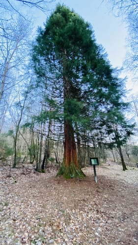 Ölmühlentour (Traumschleife)