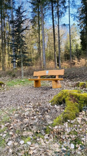 Ölmühlentour (Traumschleife)