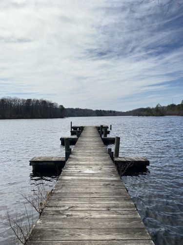 2023 Best Trails In Killens Pond State Park 