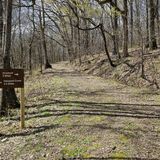 Bearwaller Gap Hiking Trail, Tennessee - 494 Reviews, Map | AllTrails