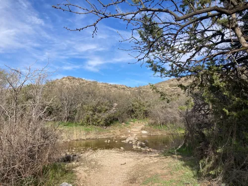 Mejores caminatas de invierno en Arizona: agua, montañas y saguaros