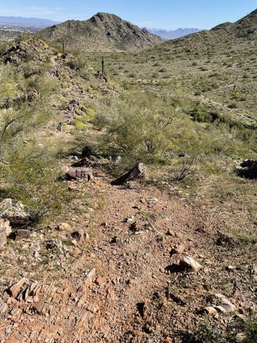 L.V. Yates Trail Loop: 352 Reviews, Map - Arizona