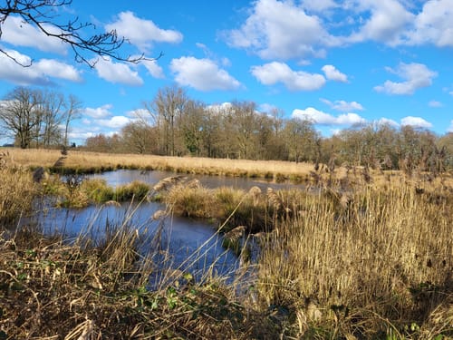 Nette-Seen (Premiumwanderweg)
