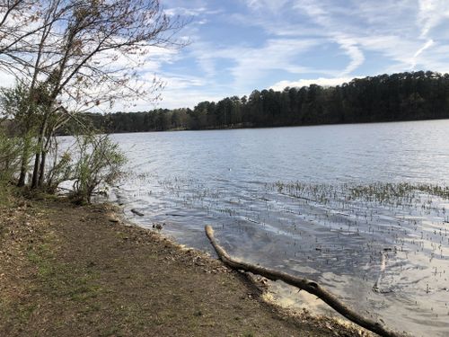 Best Hikes and Trails in Lake Benson Park | AllTrails