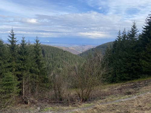 Liebesbankweg (Premiumwanderweg)