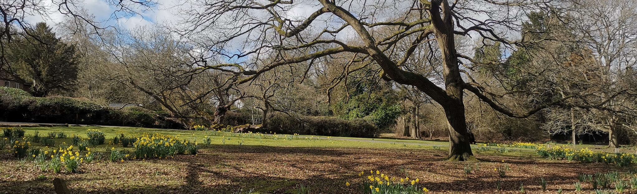 Knowl Hill and Warren Row Circular, Berkshire, England 23 Reviews