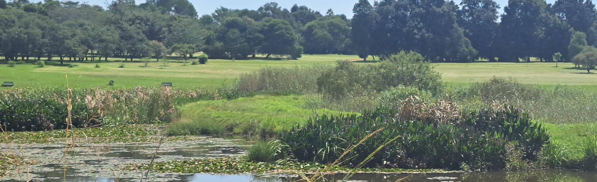 Johannesburg Botanical Gardens, Gauteng, South Africa 40 Reviews, Map