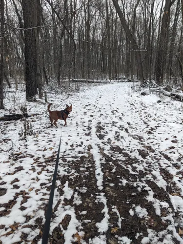 Best Hikes and Trails in Mary McCann Park | AllTrails