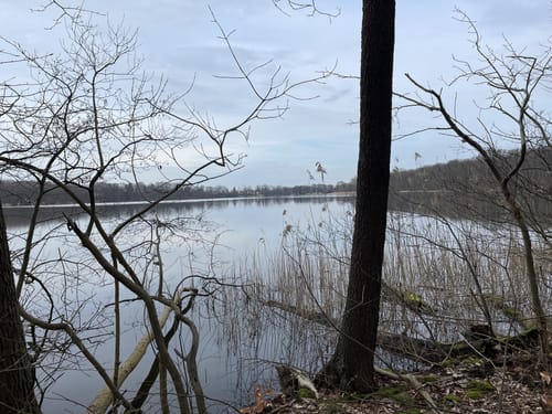 Um den Großen Lienewitzsee