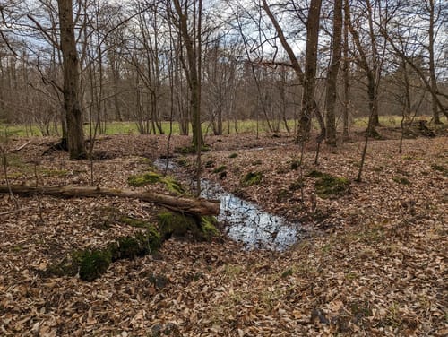 Darmstadter Wildpark-Weg