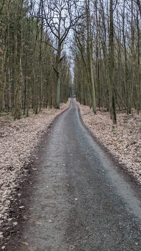 Rodheim -  Hofgut Haina - Steinkreis Bubenrod