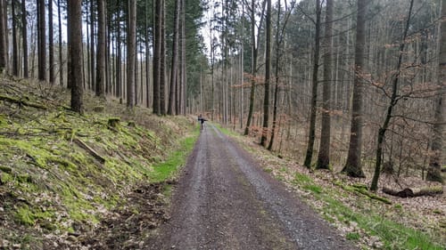 Rodheim -  Hofgut Haina - Steinkreis Bubenrod