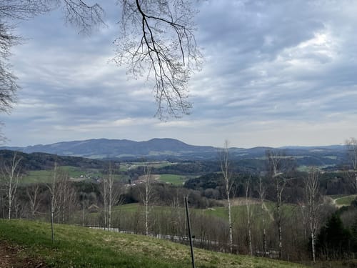 Muckenthal: Feuersalamander-Tour