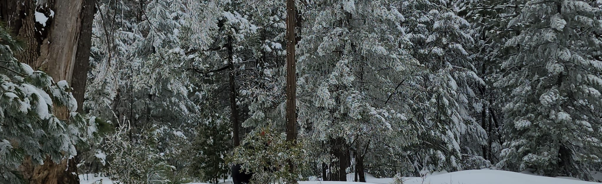 You Bet and Chalk Bluff Road to Remington Hill, California 35 Reviews