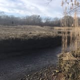 Scorton Creek Marsh Trail, Massachusetts - 53 Reviews, Map | AllTrails